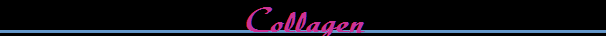 Collagen