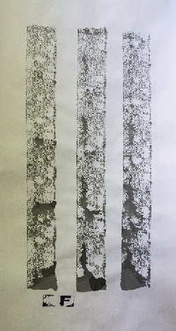 P1020411_I