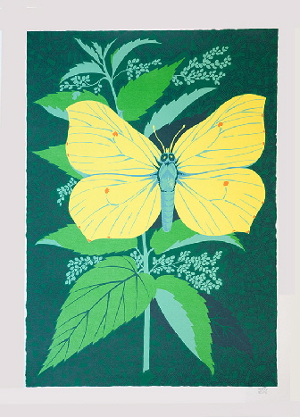Schmetterling_I