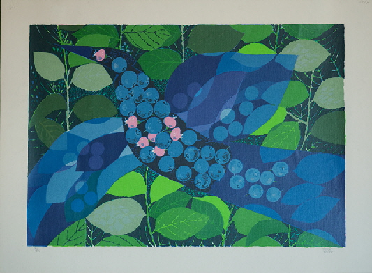 Heidelbeeren_I